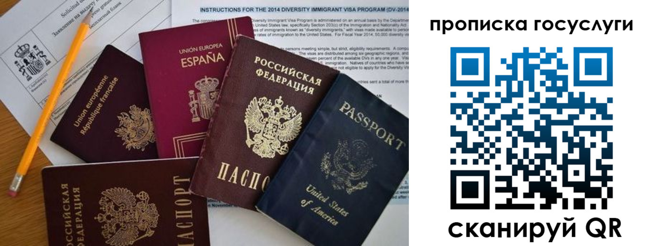 прописка гарантия в Петрозаводске